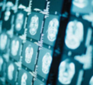 Section 21 Imaging & therapy products