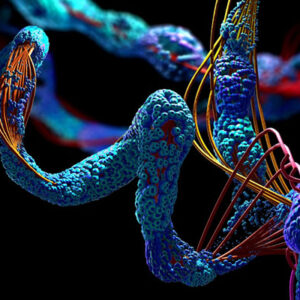 Tertiary- Proteomics