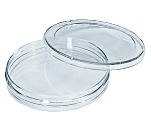 ICSI Dishes
