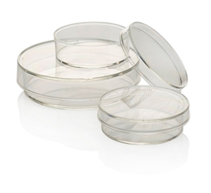 Petri Dishes