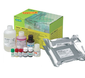 Rabies testing